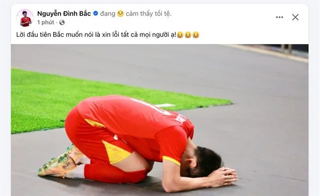 Xem đá gà trực tiếp HD
